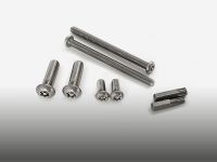Anti-Theft Fastener Kit 